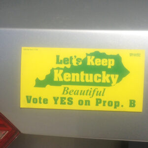 Campaign Bumper Magnets (3.75" x 7.5")